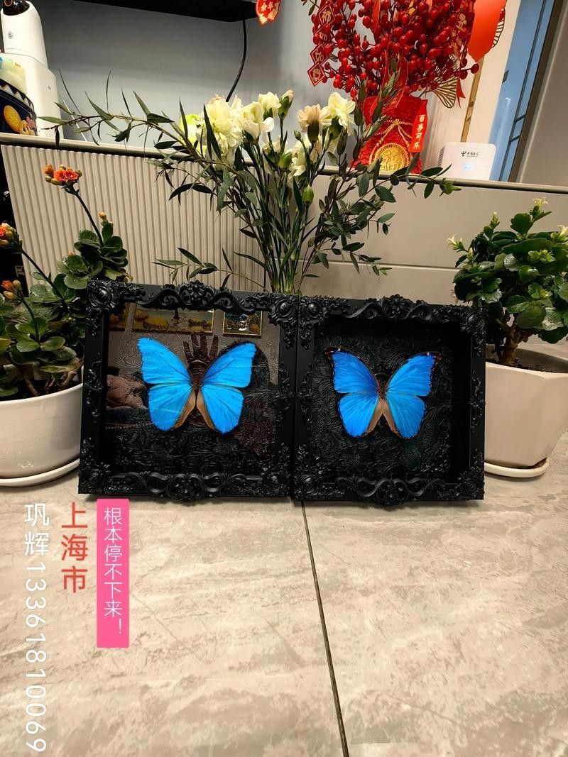 如何調整相機參數以減少玻璃反光（攝影中玻璃反光是一個常見的問題） 如何調整相機參數以減少玻璃反光（攝影中玻璃反光是一個常見的問題） 龍魚百科 第2張