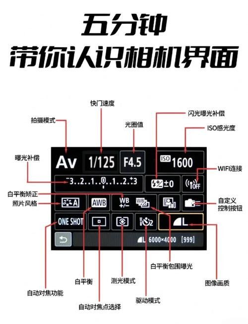 如何調整相機參數以減少玻璃反光（攝影中玻璃反光是一個常見的問題） 如何調整相機參數以減少玻璃反光（攝影中玻璃反光是一個常見的問題） 龍魚百科 第11張