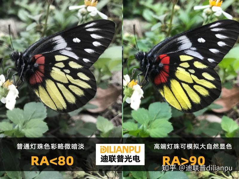 高顯指LED燈的價(jià)格（高顯指led燈的價(jià)格受到多種因素的影響）