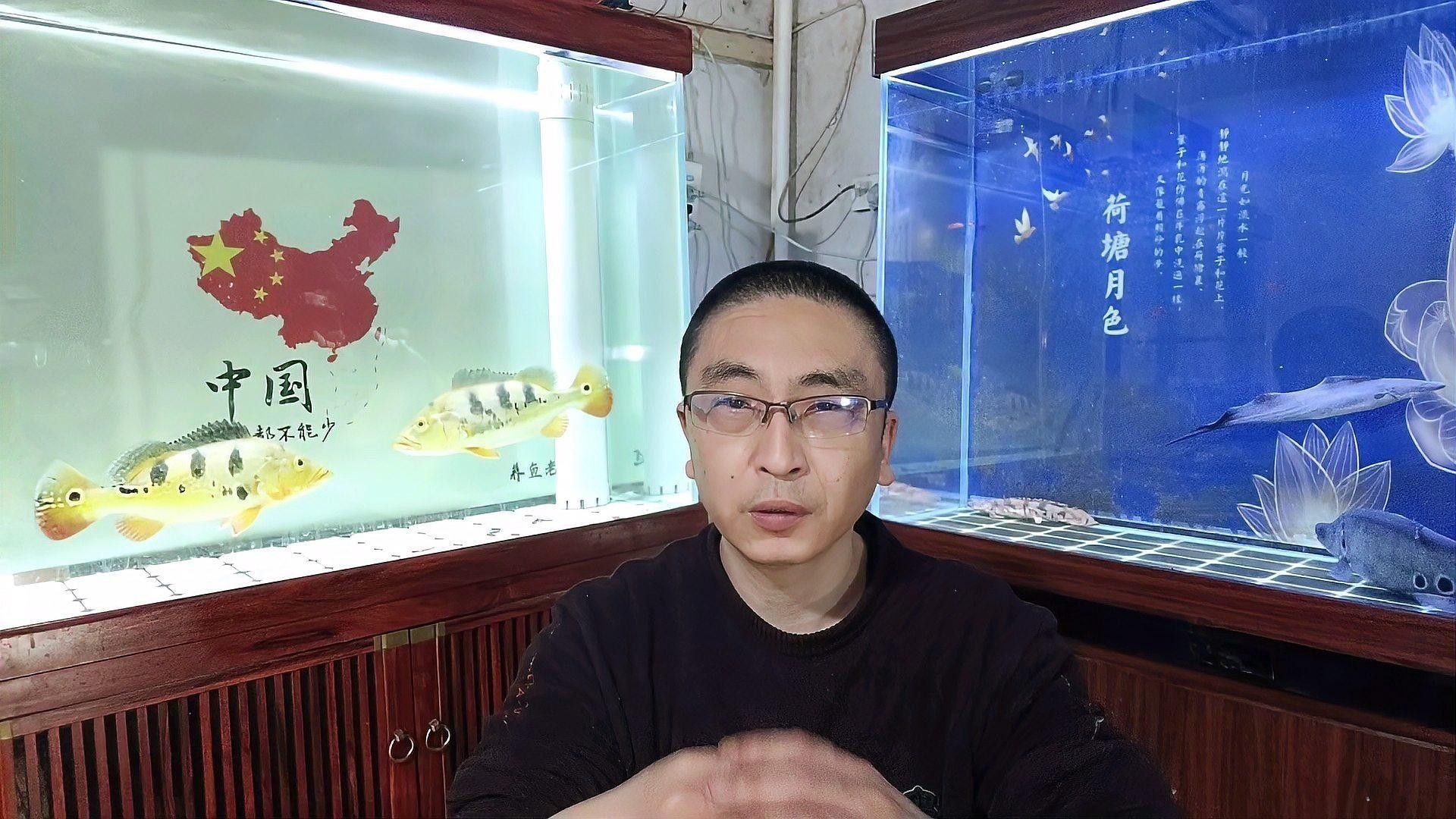 哪種恐龍魚最容易繁殖（哪種恐龍魚最容易繁殖，六角恐龍魚的繁殖策略與注意事項）