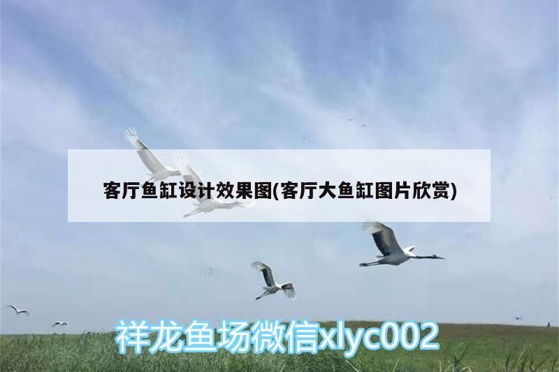 客廳魚缸設計效果圖(客廳大魚缸圖片欣賞)