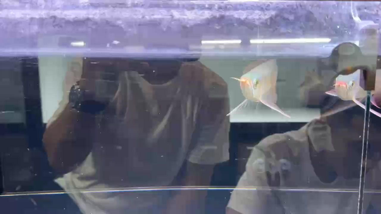 毒物（關于毒物的研究與應用）