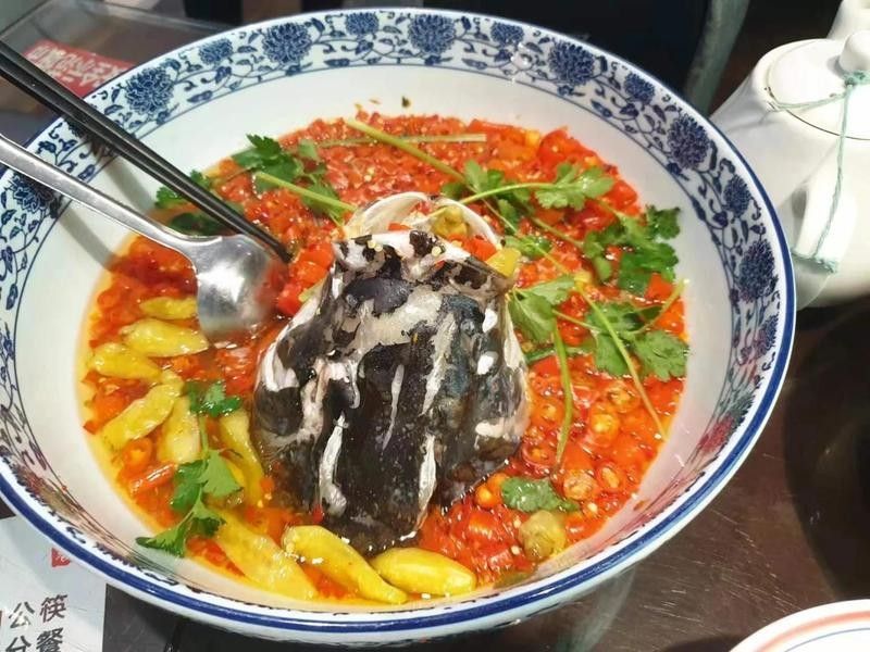 婁底九龍魚頭店的價格范圍是多少（婁底九龍魚頭店價格范圍）