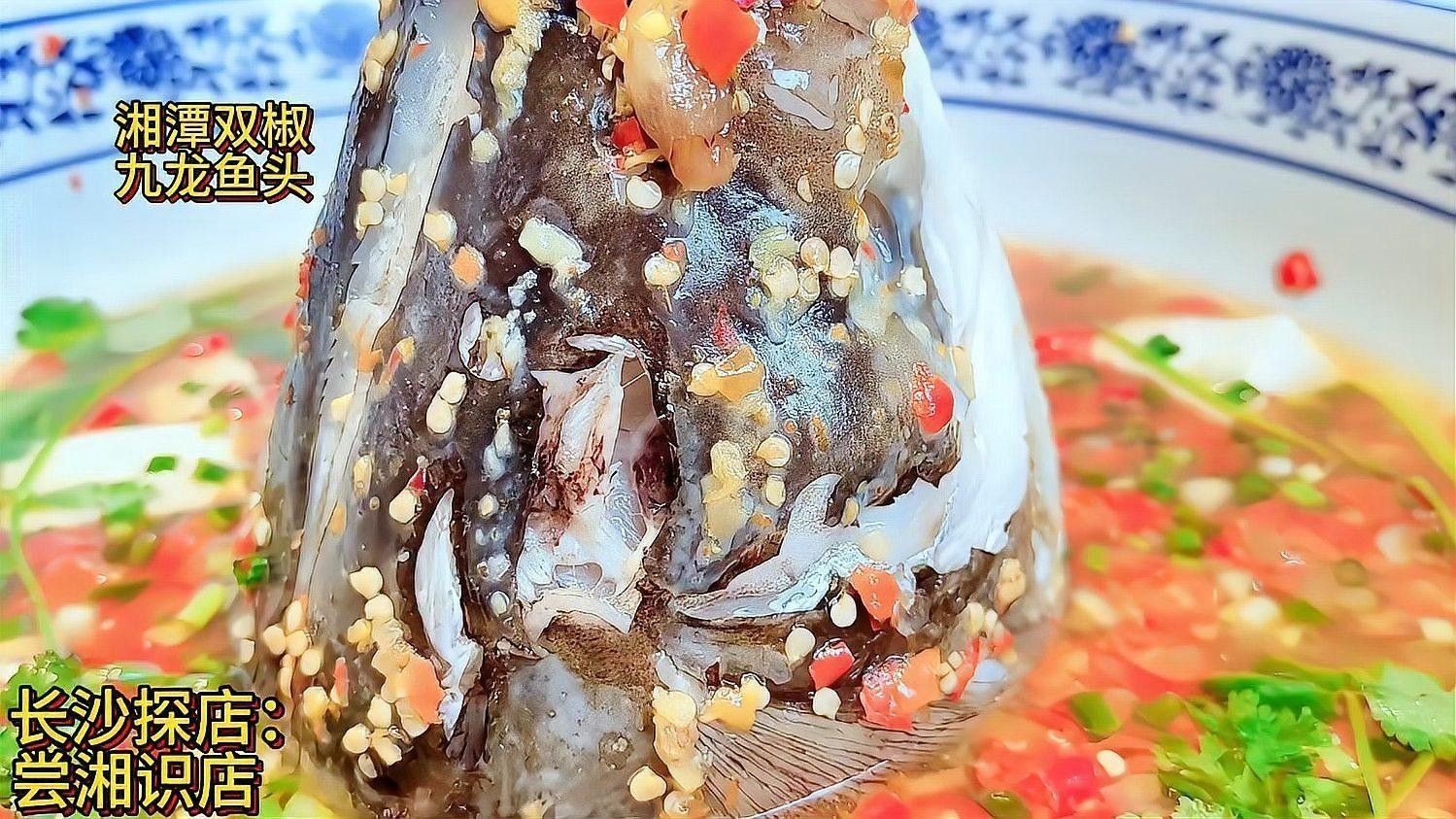 婁底九龍魚頭店的價格范圍是多少（婁底九龍魚頭店價格范圍）