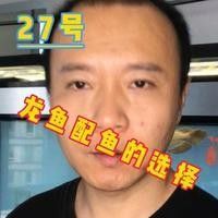 紅龍魚混養的最佳配魚有哪些