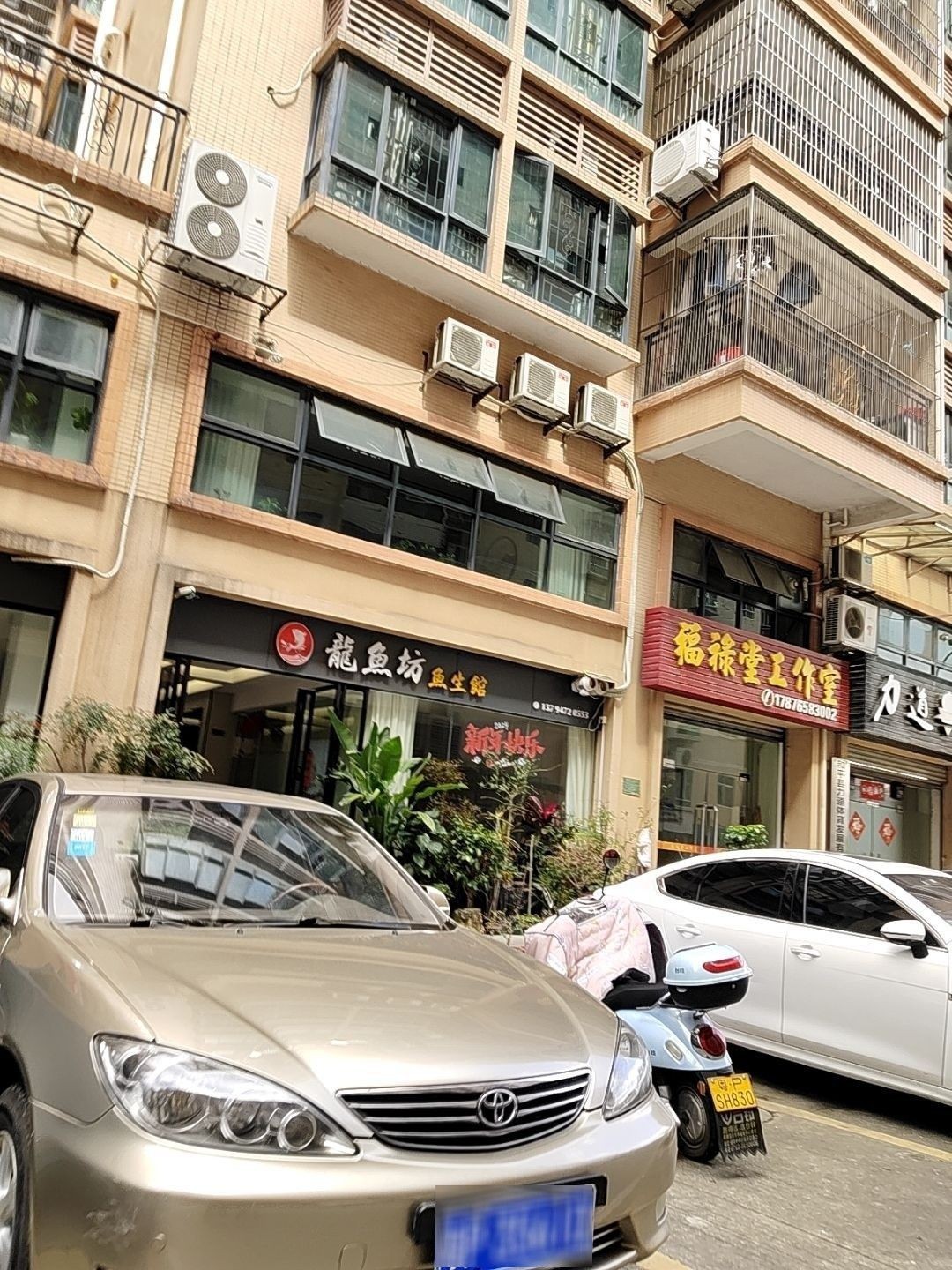 河源尋龍魚餐廳的地址在哪里