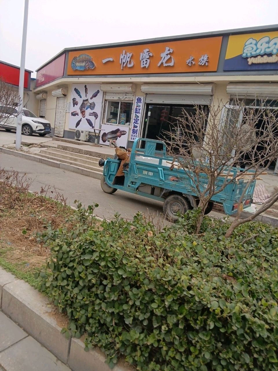 <strong><mark>鹿泉</mark></strong>區一帆雷龍水族店營業時間是？（如何聯系<strong><mark>鹿泉</mark></strong>區一帆雷龍水族店）
