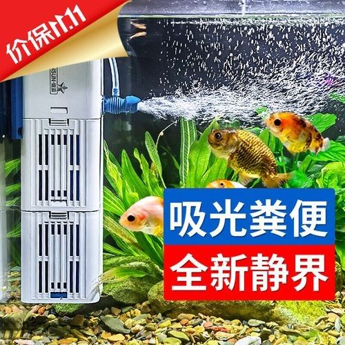 有哪些魚缸過濾系統適合龍虎混養？（適合龍虎混養的幾種魚缸過濾系統） 有哪些魚缸過濾系統適合龍虎混養？（適合龍虎混養的幾種魚缸過濾系統） 龍魚百科 第6張
