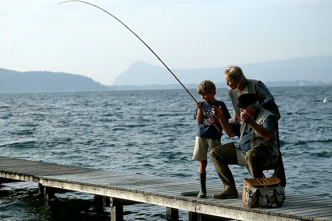 哪些國家允許跨世界釣魚 哪些國家允許跨世界釣魚 龍魚百科 第4張