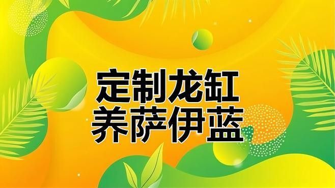 薩伊藍(lán)和龍魚混養(yǎng)需要多大的魚缸（薩伊藍(lán)和龍魚混養(yǎng)需要多大的魚缸尺寸） 薩伊藍(lán)和龍魚混養(yǎng)需要多大的魚缸（薩伊藍(lán)和龍魚混養(yǎng)需要多大的魚缸尺寸） 龍魚百科 第1張
