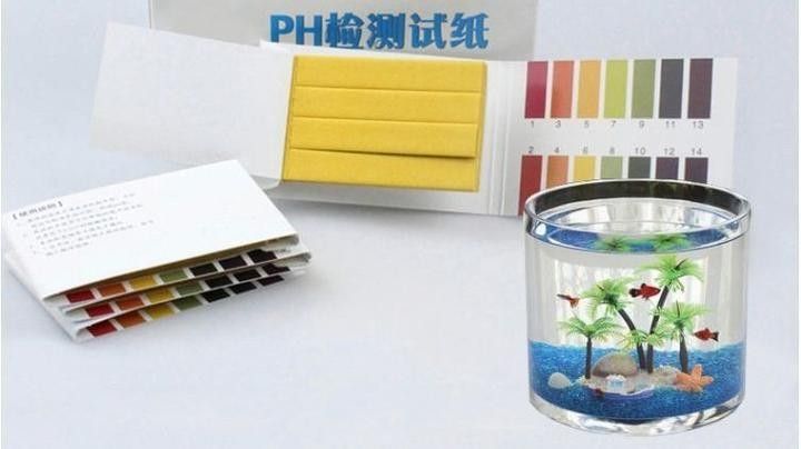 有哪些品牌的水質檢測試紙推薦？ 有哪些品牌的水質檢測試紙推薦？ 龍魚百科 第10張