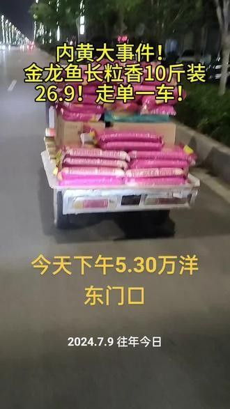 金龍魚在抖音上有哪些內容輸出