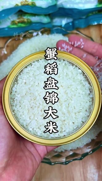 金龍魚在抖音上有哪些內容輸出