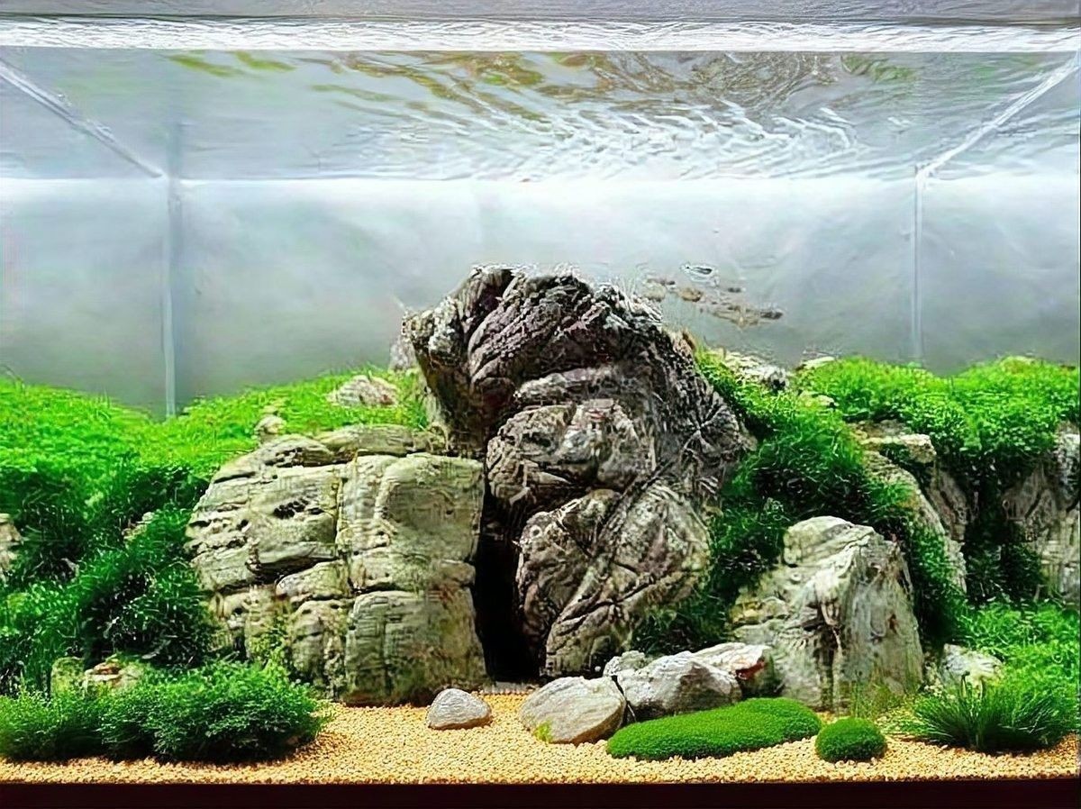 隔離缸裝飾石如何清洗？