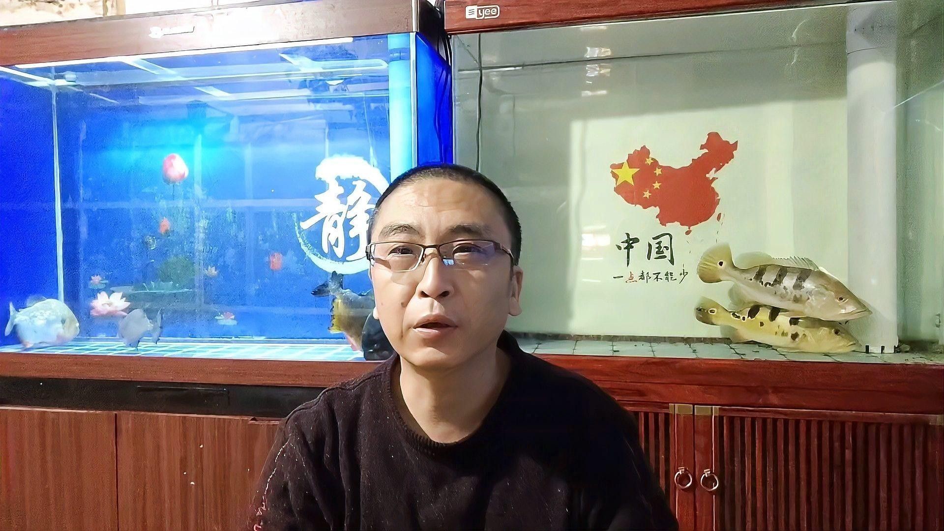 龍魚缸養錦鯉需要注意什么（魚缸養錦鯉時有幾個關鍵點需要注意以確保魚類的健康和魚缸的美觀）