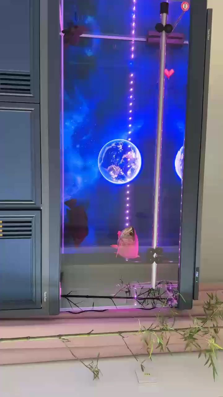 好久沒更新了，打卡
