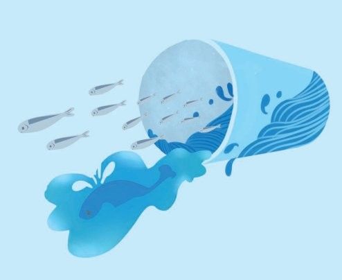 放生鱘龍魚需要多少苗種來源證明？ 放生鱘龍魚需要多少苗種來源證明？ 龍魚百科 第2張
