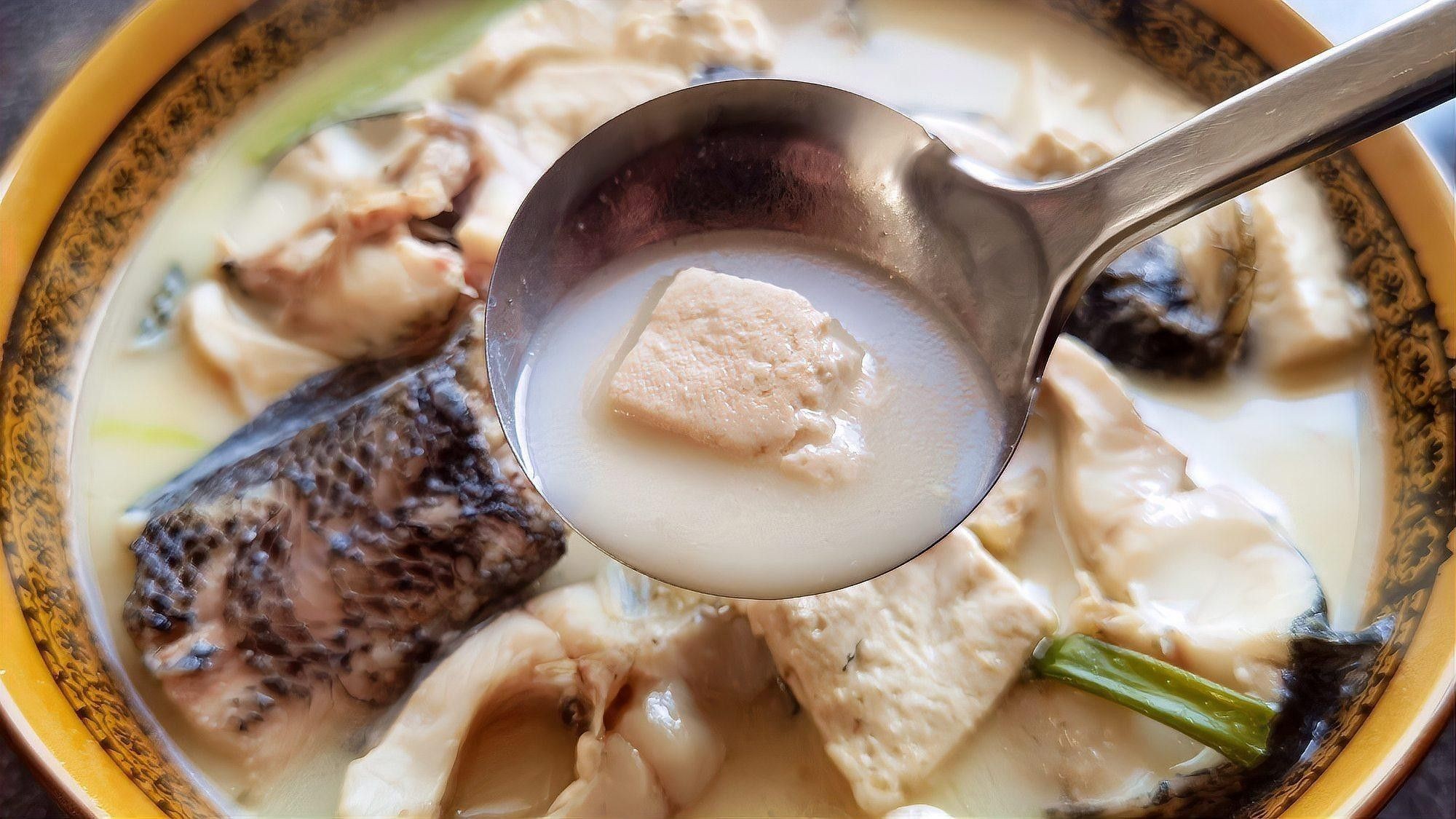 哪種魚最適合燉豆腐？ 哪種魚最適合燉豆腐？ 龍魚百科 第3張