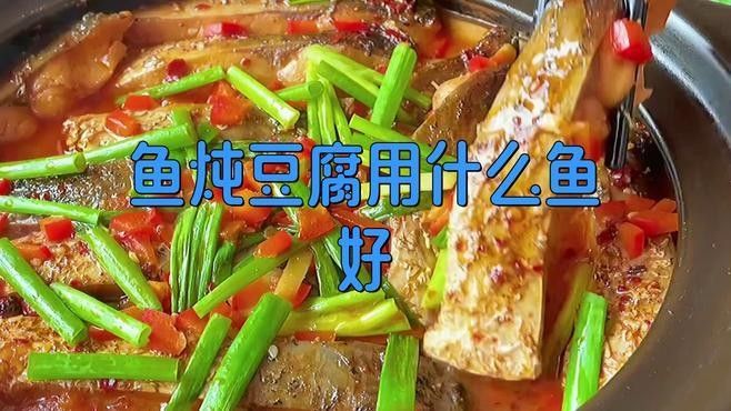 哪種魚最適合燉豆腐？ 哪種魚最適合燉豆腐？ 龍魚百科 第5張