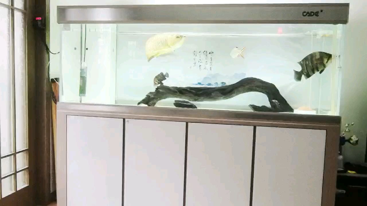 在過二個月就21歲了（21歲的我們）