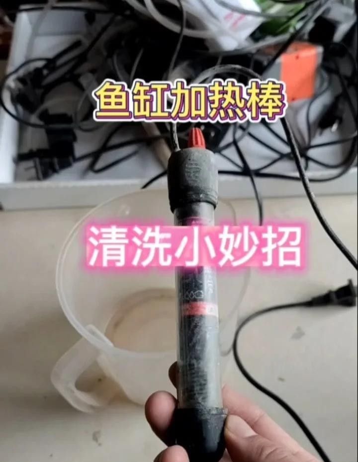 如何清潔和維護魚缸恒溫加熱器（家用魚缸恒溫加熱器如何清潔和維護魚缸恒溫加熱器）