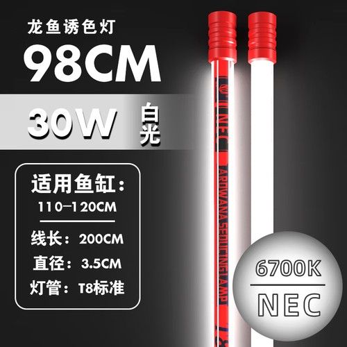 紅龍魚上色燈品牌推薦
