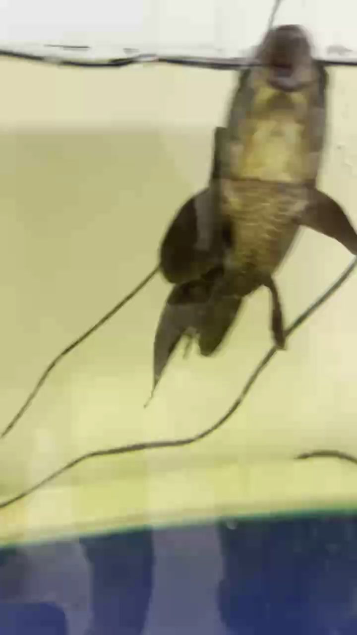 好了不少