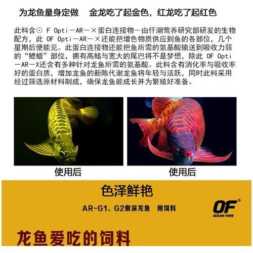 仟湖OFG2系列有哪些規格