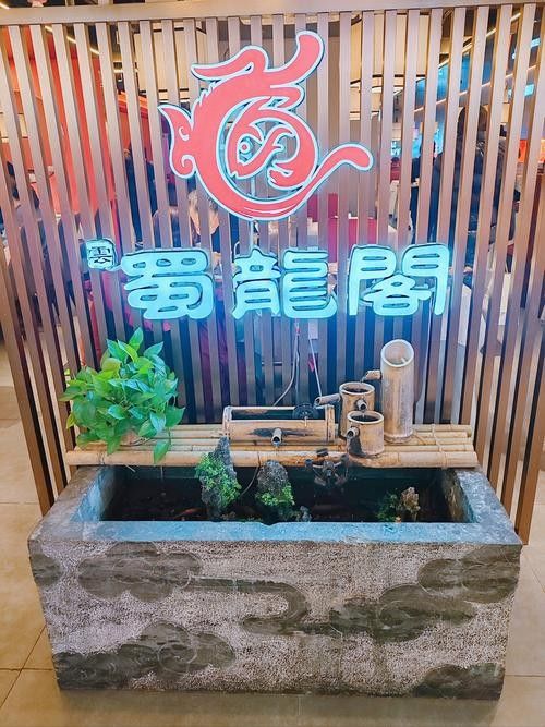 成都龍魚閣水族館有哪些特色品種（成都龍魚閣水族館有哪些特色？） 成都龍魚閣水族館有哪些特色品種（成都龍魚閣水族館有哪些特色？） 龍魚百科 第1張