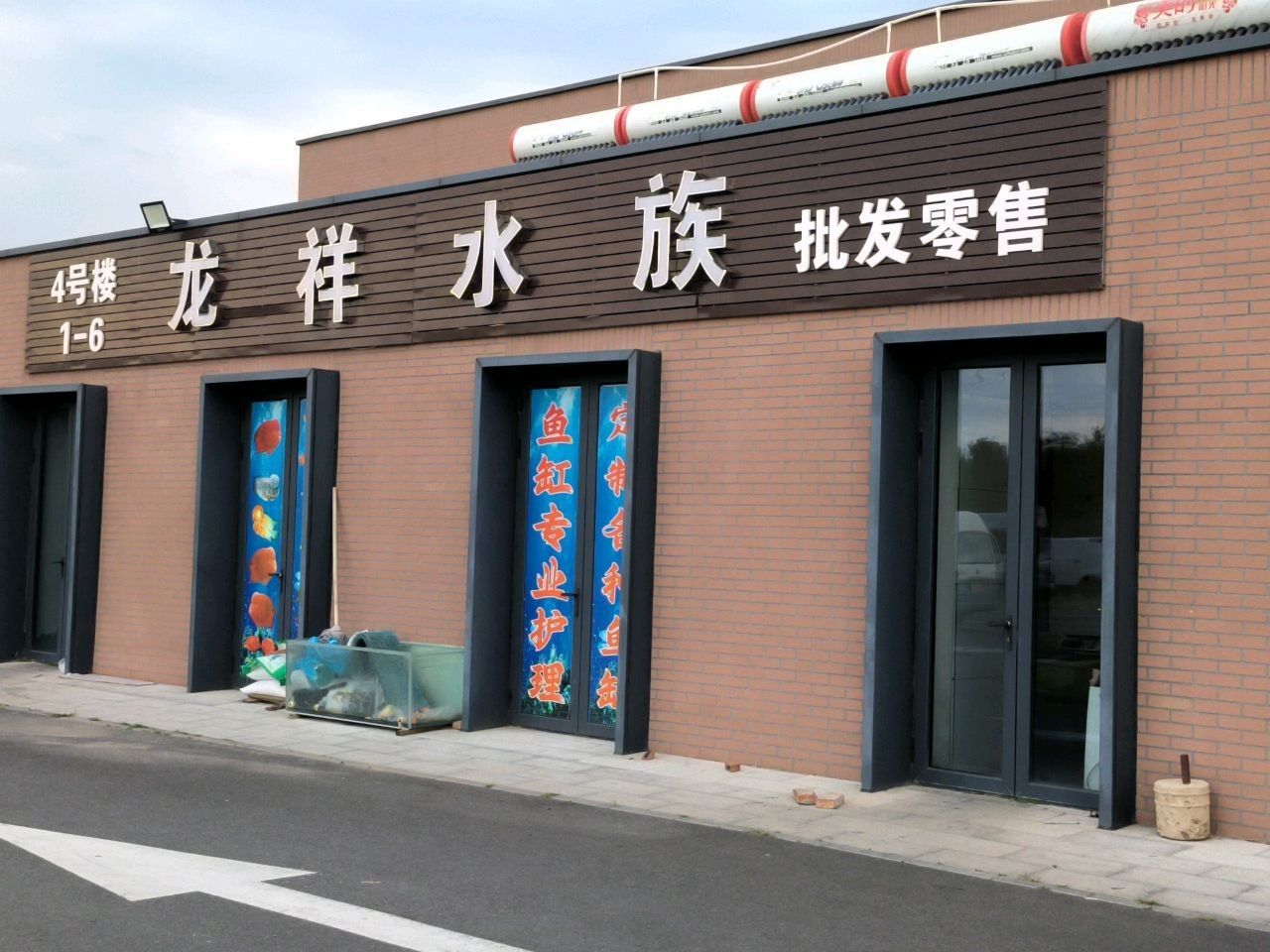 松山哪個水族館龍魚好？祥龍魚場龍魚 松山哪個水族館龍魚好？祥龍魚場龍魚 龍魚百科 第2張