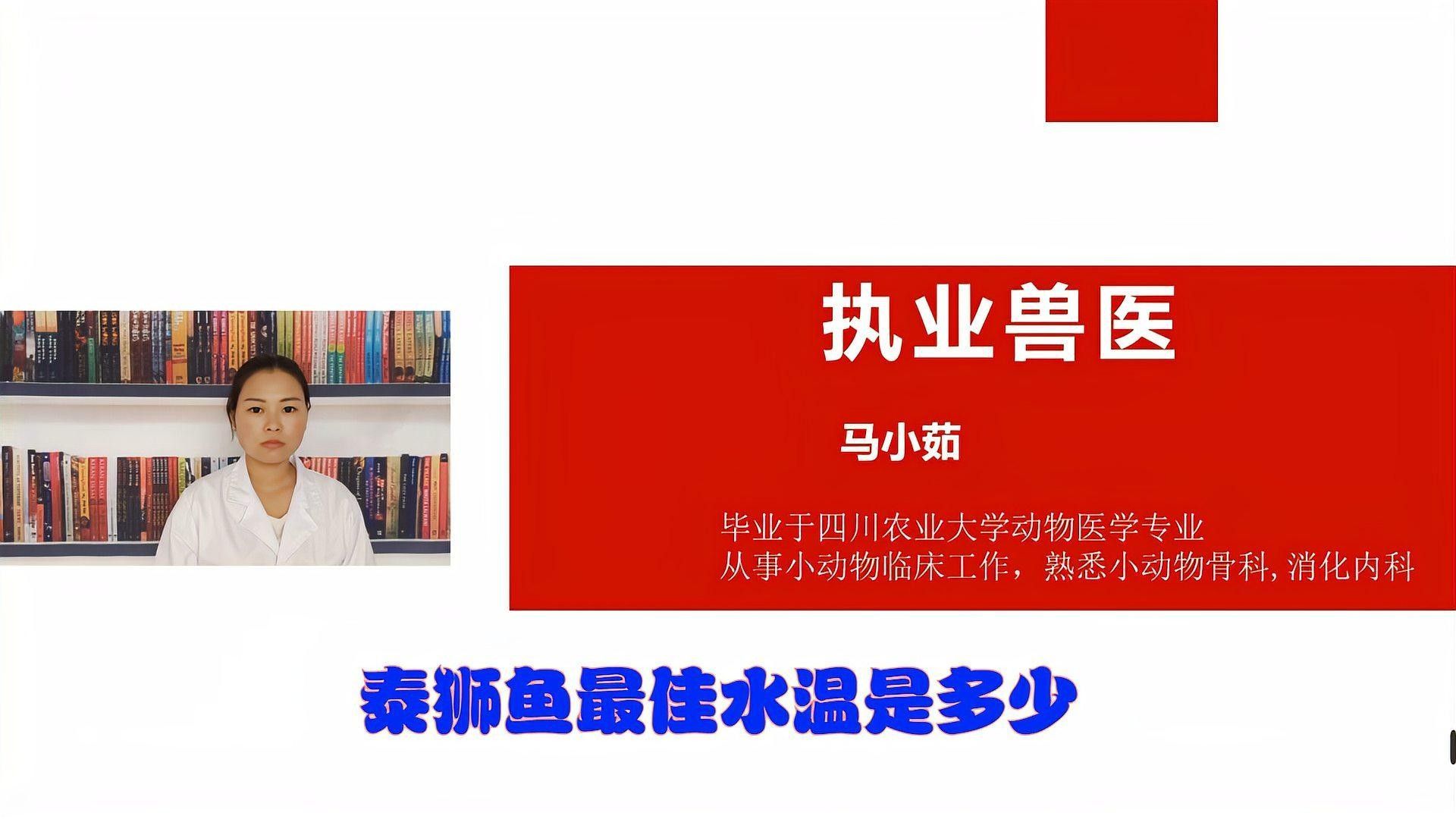 2米魚(yú)缸可以養(yǎng)幾條泰獅？