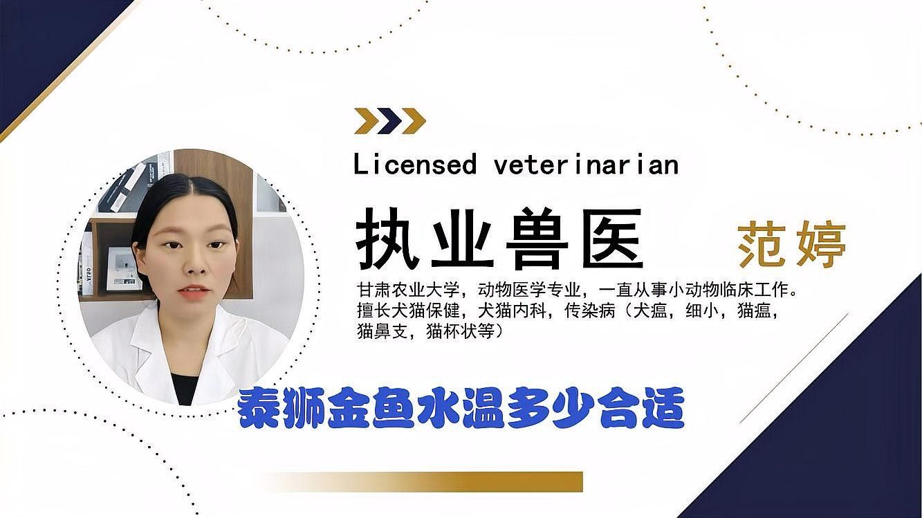2米魚(yú)缸可以養(yǎng)幾條泰獅？