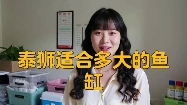 2米魚(yú)缸可以養(yǎng)幾條泰獅？