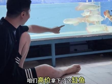 銘龍漁場有哪些特色服務？（銘龍漁場特色服務主要圍繞以下幾個方面展開）