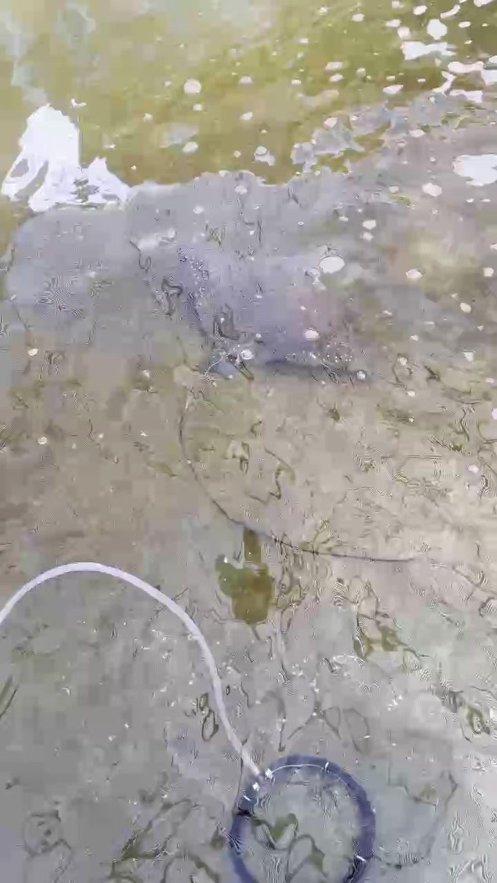 大型缸必備