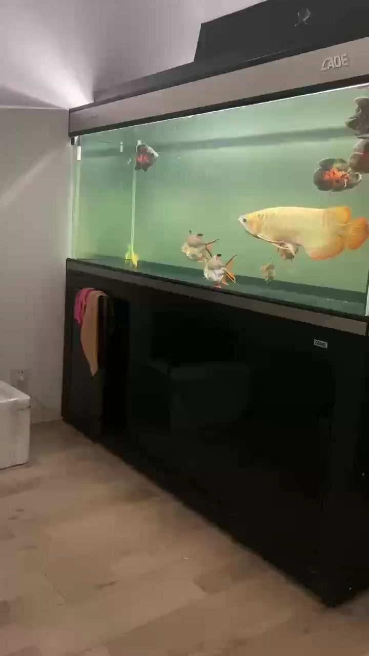 （人工智能在醫療領域的應用）