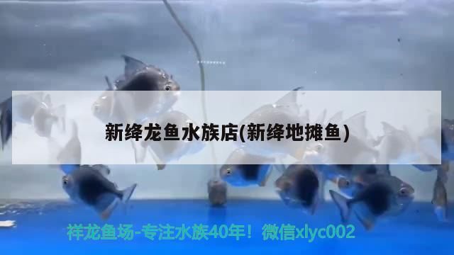 魚缸過濾器選購指南:自制魚缸過濾器魚缸上置過濾器對于養(yǎng)魚愛好者的必備知識 新絳龍魚水族店(新絳地攤魚) 觀賞魚百科 新絳龍魚水族店(新絳地攤魚) 新絳龍魚水族店(新絳地攤魚) 觀賞魚百科