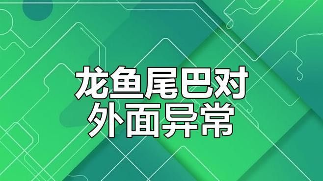 金龍魚沉尾能自愈嗎？（金龍魚沉尾怎么治療金龍魚沉尾能否自愈需根據(jù)具體原因判斷）
