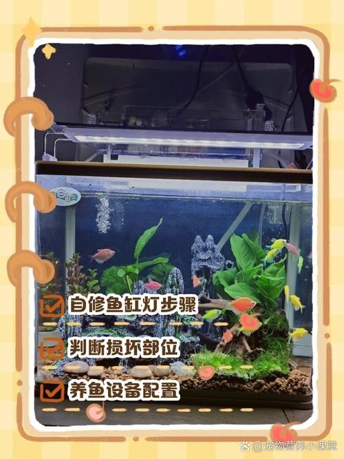 龍魚缸照明燈多久換一次