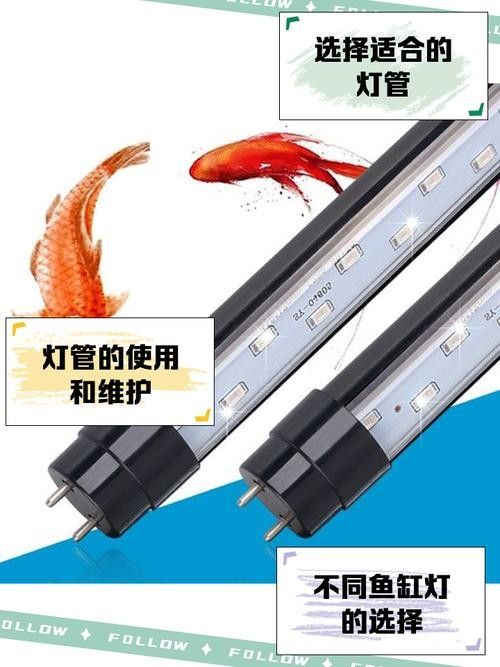 龍魚缸照明燈多久換一次