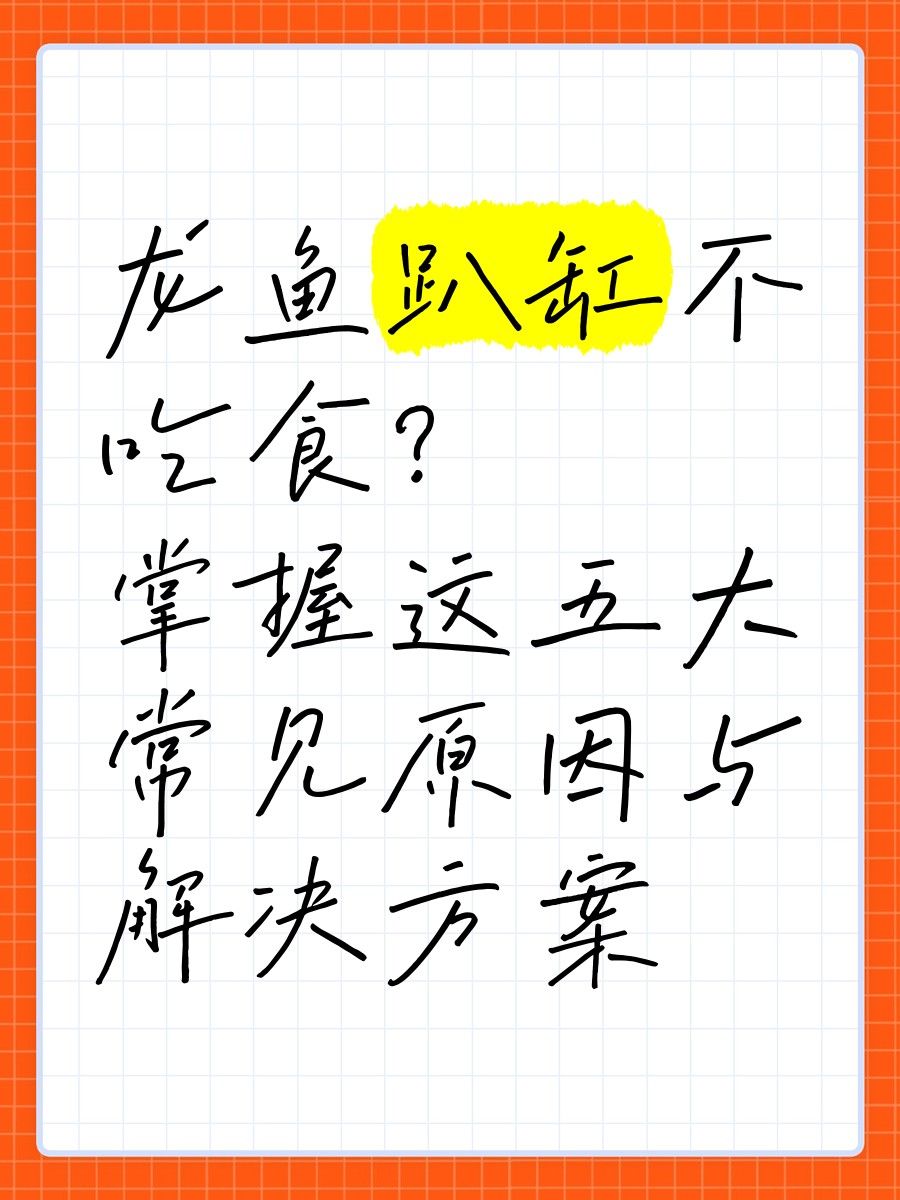 如何預防龍魚消化不良？ 如何預防龍魚消化不良？ 龍魚百科 第6張