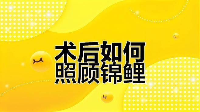 龍魚麻醉后多久可以喂食（玄寵宿舍麻醉后多久可以吃東西博禾醫(yī)生麻醉手術(shù)后多久可以吃東西）