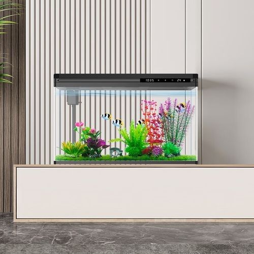 龍魚殺菌期間需要增氧嗎,紅龍魚外寄復發后如何處理? 龍魚百科 第2張 龍魚殺菌期間需要增氧嗎,紅龍魚外寄復發后如何處理? 龍魚殺菌期間需要增氧嗎,紅龍魚外寄復發后如何處理? 龍魚百科 第2張