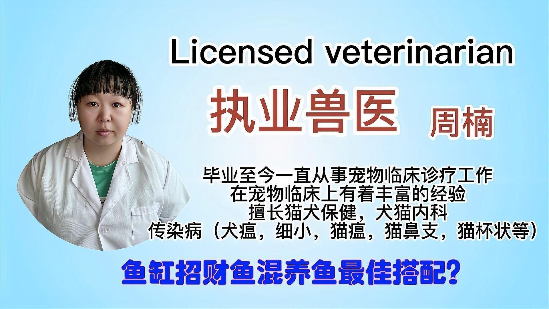 發(fā)財(cái)魚和什么魚混養(yǎng)最好 發(fā)財(cái)魚和什么魚混養(yǎng)最好 龍魚百科 第1張