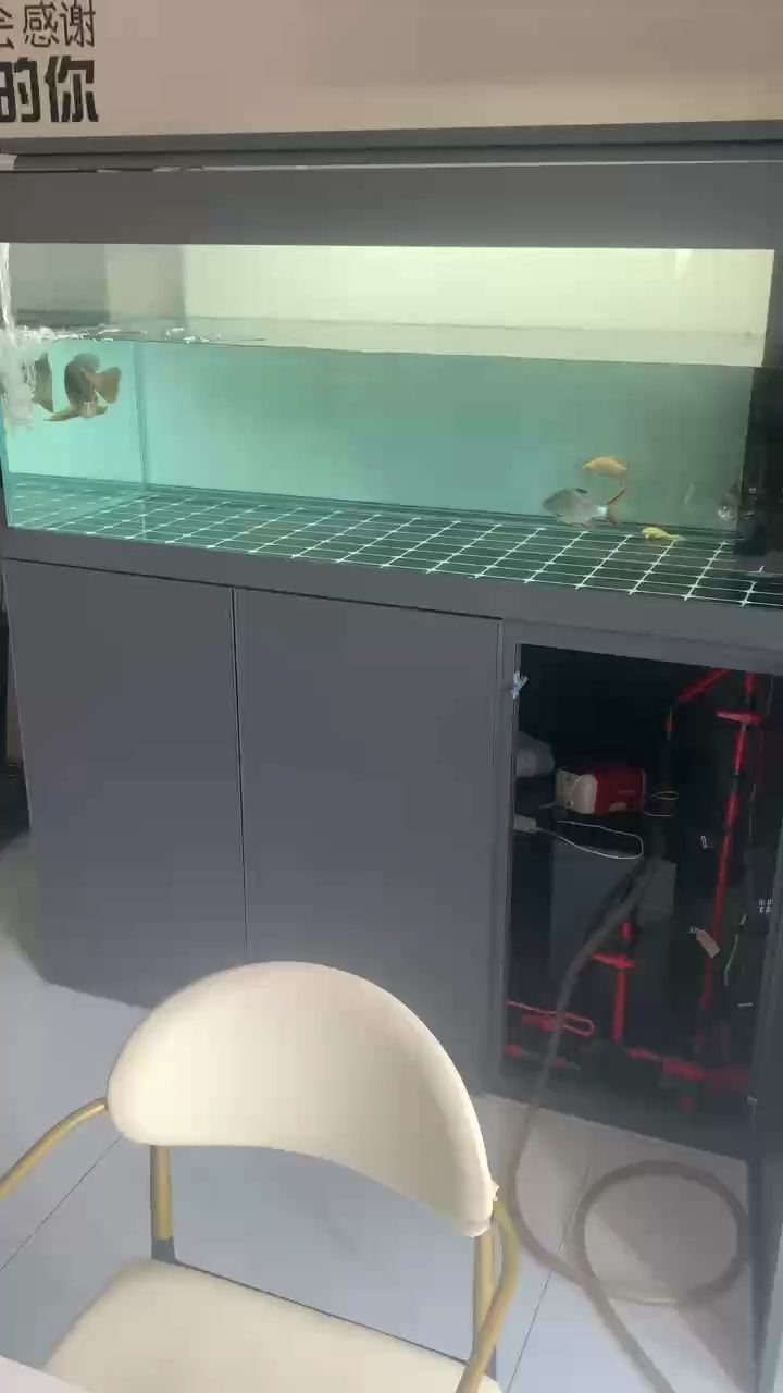 金龍換水（金龍換水的過程）
