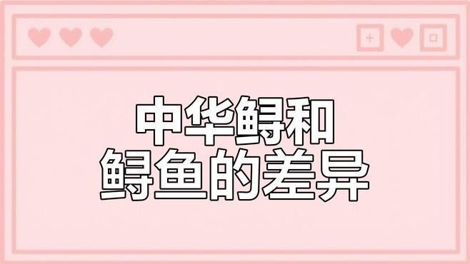 如何判斷鱘魚是否為野生？