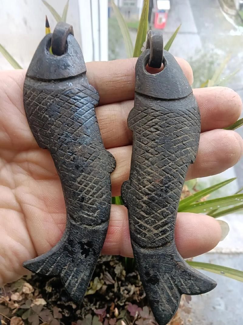 祥龍魚場是否嘗試過養殖大白鯊，祥龍魚場是否嘗試養殖大白鯊