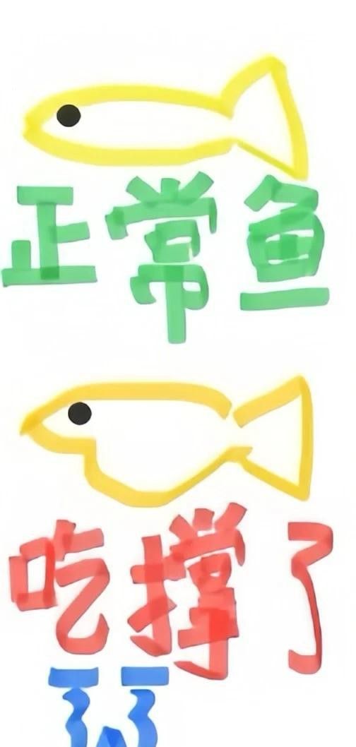 龍魚吃撐了怎么辦？