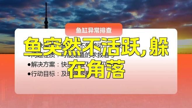 如何判斷清潔工具魚是否健康（如何判斷清潔工具魚的健康狀況）