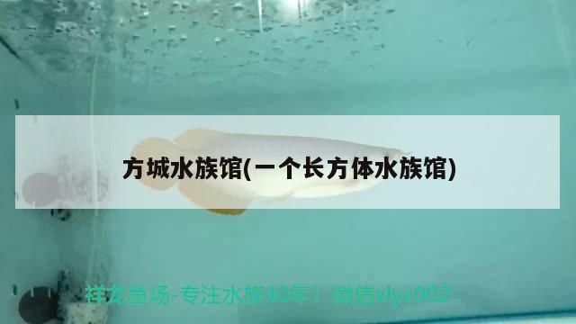 <strong><mark>方城</mark></strong>水族館(一個長方體水族館)